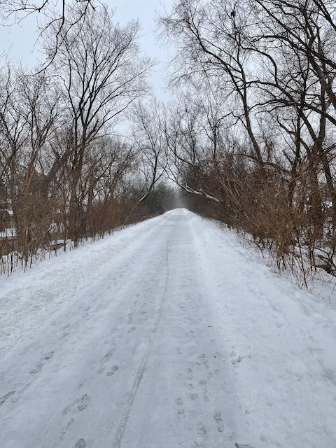 Happiness is a Plowed Trail